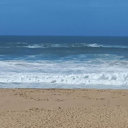 Plage Et Foret Pobral エクステリア 写真