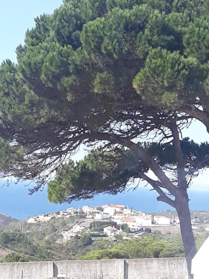 Plage Et Foret Pobral エクステリア 写真